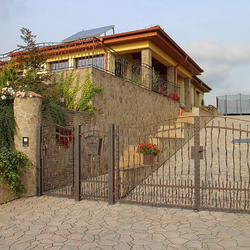 The exterior wrought iron railing - crazy in combination with a gate The exterior wrought iron railing - crazy in combination with a gate