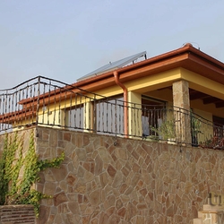 The exterior wrought iron railing - crazy The exterior wrought iron railing - crazy