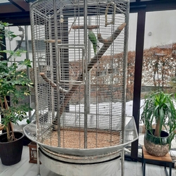 Exclusive handmade parrot cage made of brushed stainless steel Exclusive handmade parrot cage made of brushed stainless steel