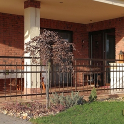 A wrought iron terrace railing A wrought iron terrace railing